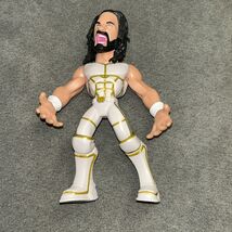 Roman Reigns 2019 Wrestling Action Figure WWE White Small Beard Screamin... - $4.95
