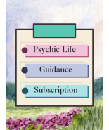 Psychic Life Subscription with Timeframe. PDF Transcript Available. - $41,300.00