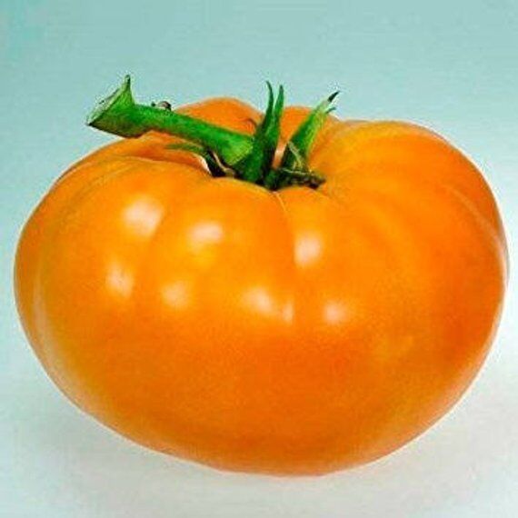 Primary image for Amana Orange Tomato 30 Seeds NON-GMO BUY 2 GET 1 FREE 