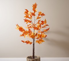 Indoor/Outdoor 4&#39; Illuminated Maple Leaf Tree by Valerie in - £152.54 GBP