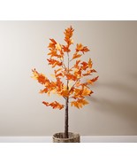 Indoor/Outdoor 4&#39; Illuminated Maple Leaf Tree by Valerie in - £153.42 GBP