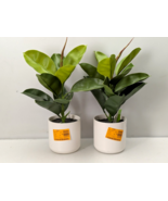 Lot of 2 Nearly Natural 20 in. Faux Plants Rubber Plant in White Ceramic... - $38.51