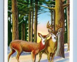 Winter Scene Deer Reindeer in Snow UNP Unused Linen Postcard M8 - $2.92