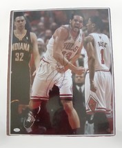 Joakim Noah Chicago Bulls Signed 16x20 picture JSA Photo PROOF FLORIDA A... - $84.14