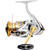 Daiwa Fishing Reel Jupiter Spinning Reel 22 7BS, LT3000D-CXH, Silver Gold - $113.26