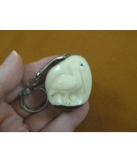 (TNE-BIR-PE-243a) Pelican coastal bird birds TAGUA NUT keychain carving ... - £12.67 GBP