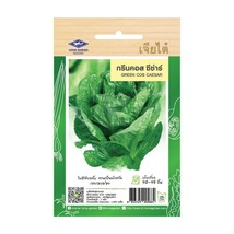 Green Cos Caesar Seeds Home Garden Asian Fresh Vegetable The Best Thai S... - $7.99