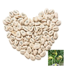 100Pcs Lot Mini Magic White Bean Seeds Gift Plant Growing Message Word Love Offi - £9.08 GBP