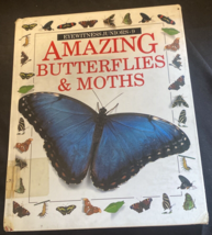 Amazing Butterflies and Moths (Eyewitness Junior) - £3.74 GBP