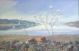 Death Valley Gravel Ghost in Bloom Realist Landscape Original Oil Painting - £523.57 GBP