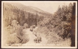 Jackson, Wyoming Pre-1920 RPPC - Horse Carts on Teton Pass Victor Route - £19.46 GBP