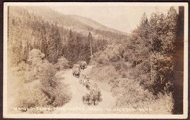 Jackson, Wyoming Pre-1920 RPPC - Horse Carts on Teton Pass Victor Route - £18.59 GBP