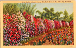 Postcard Florida Orlando Eola Park Sweet Peas Linen Vintage 6 x 4 &quot; - £4.59 GBP