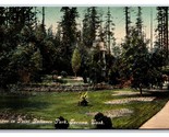 Scene In Point Defiance Park Tacoma Washington WA UNP DB Postcard M20 - $4.90