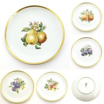 5 Vintage Hutschenreuther Hand Painted Decorative Plates Fruits PASCO Gold Trim - £53.60 GBP