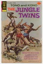 Jungle Twins 17 FNVF 7.0 Bronze Age Gold Key 1975 George Wilson Painted Cover - £6.32 GBP