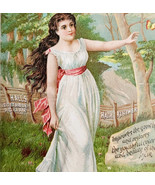 C1880s Hall&#39;s Hair Renewer Lovely Victorian Trade Card Lithograph Beauty... - $529.43 MXN