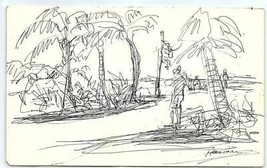 Penna Schizzo Linea Disegno Su Carta Medio Secolo Hawaii - £46.06 GBP