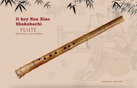 G key Nan Xiao Shakuhachi like Wooden Music Instrument Bamboo Vertical Flute Wit - £87.04 GBP