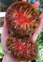 US Seller 30 Black Brandywine Tomato Seeds Heirloom Organic Fresh - £6.89 GBP