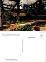 Georgia Pine Mountains Callaway Gardens Orange Red White Flowers VTG Postcard - £7.37 GBP