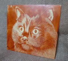 Vintage Animals Collectibles CAT Plastic Plaque Picture USSR Soviet Decor - $16.29