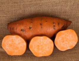 Covington Sweet Potato Slips - Ipomoea batatas - 2 Slips - $29.99