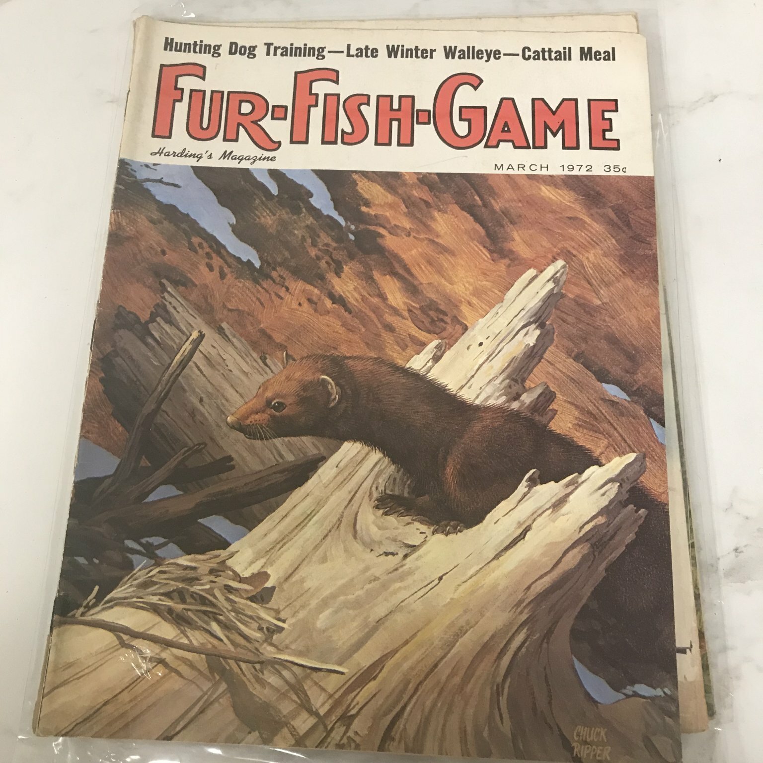 Fur-Fish-Game March 1972 Hunting Dog Training Illustrated Magazine - $8.85 Fur-Fish-Game March 1972 Hunting Dog Training Illustrated Magazine - $8.85