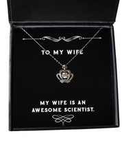 Sarcasm Wife, My Wife is an Awesome Scientist, Inappropriate Christmas Crown Pen - £38.50 GBP