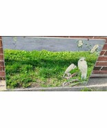 50’s Turner Mirror Egret/Heron/Cranes Tropical Birds LARGE 36x23” Billy ... - $395.99