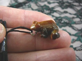 (an-frog-10) FROG BROWN TIGER&#39;S EYE carving Pendant NECKLACE FIGURINE ge... - $7.70