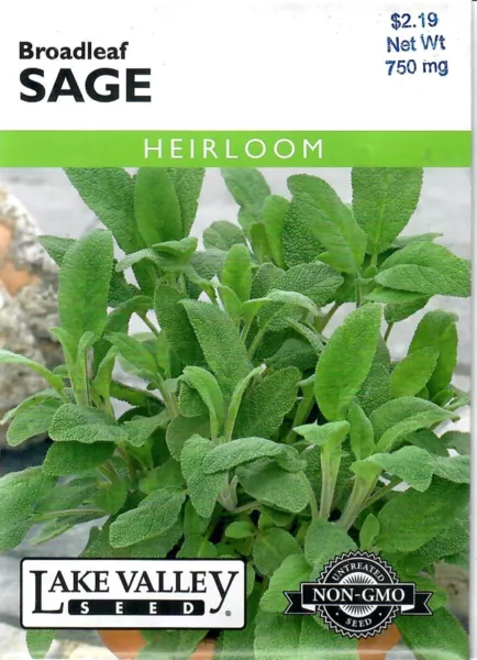 Sage Broadleaf Herb Seeds Heirloom Non-Gmo - Lake Valley 12/24 Fresh Garden - £6.29 GBP