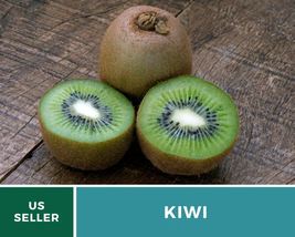 100 Pcs Kiwi Fruit Seeds Chinese Gooseberry Fruit Actinidia Chinensis Seed - £15.37 GBP