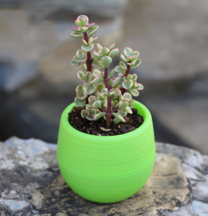 Mini Round Plastic Plants for Garden Home Office Decoration - $2.20