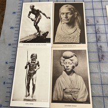 Vintage Postcards Field Museum Of Natural History Sculpture Photos Races... - $28.49