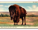 Vieux Charlie Buffalo Bison Ouest Texas Tx Unp Lin Carte Postale N24 - $4.49