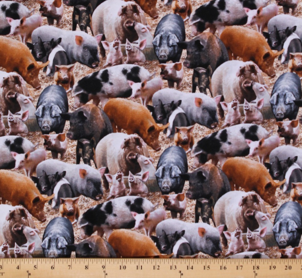 Cotton Farm Animals Pigs Pig Sow Piglet Cotton Fabric Print by the Yard ... - $12.95