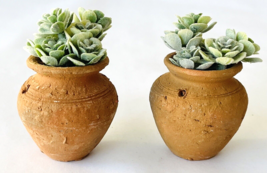 2 Miniature Dollhouse Plant Pots with Succulents for Porch Patio Hall Sun Room - £23.06 GBP