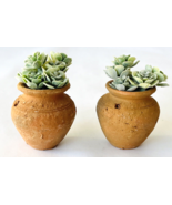 2 Miniature Dollhouse Plant Pots with Succulents for Porch Patio Hall Su... - £22.66 GBP