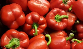 150 Seeds Big Red Bell Pepper Sweet Capsicum Annuum Vegetable  - £7.60 GBP