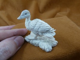 (DUCK-W4) little Duck duckling shed ANTLER figurine Bali detailed carvin... - $75.03