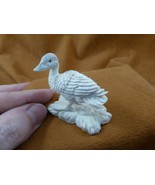 (DUCK-W4) little Duck duckling shed ANTLER figurine Bali detailed carvin... - £59.09 GBP