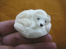 (tne-fox-302a) white Acrtic Fox TAGUA NUT Figurine Carving Vegetable ivo... - £21.77 GBP
