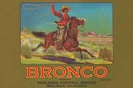 Bronco Brand Crate Label 20 x 30 Poster - £19.42 GBP