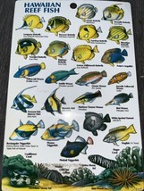 Hawaiian Reef Fish- laminated two sided card 1993 Ocean Sports Hawaii - £5.79 GBP