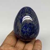 0.50 lbs, 2.5&quot;x1.8&quot;, Natural Lapis Lazuli Egg Polished @Afghanistan, B33307 - $74.24