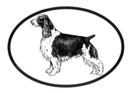 Springer Spaniel - Dog Breed Oval Vinyl Black &amp; White Window  Sticker - £3.19 GBP