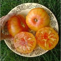 Pineapple Tomato Seeds Gardening Easy Grow Usa Shipping - $5.60