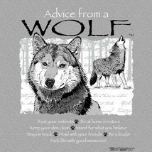 T-shirt Wolf NWT Cotton NWT Advice NEW S M Grey Gray Short Sleeve - £15.91 GBP