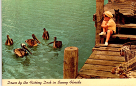 Fishing Dock Black Brown Cat Child Boy Pelicans Florida Postcard Photo Chrome - £11.81 GBP